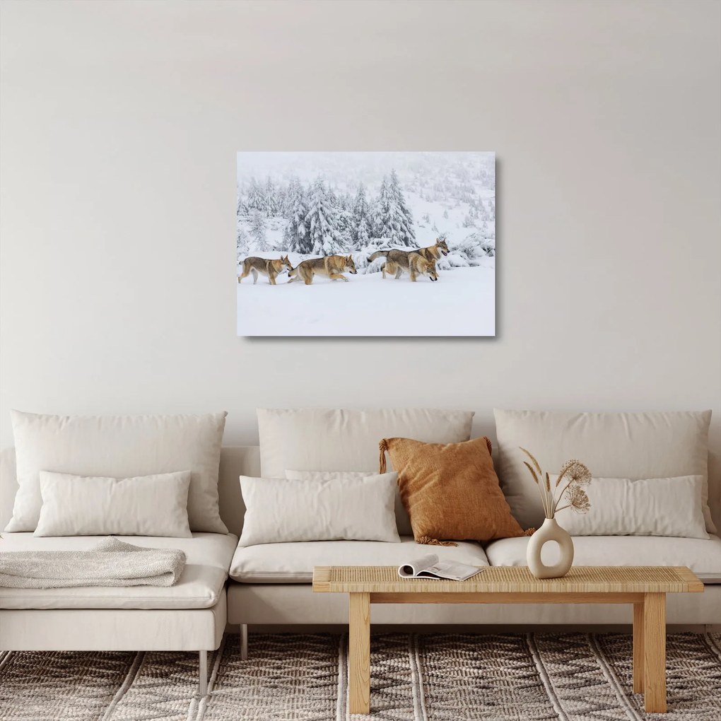 Üveg kép - Farkasok a hegyekben (70x50 cm)