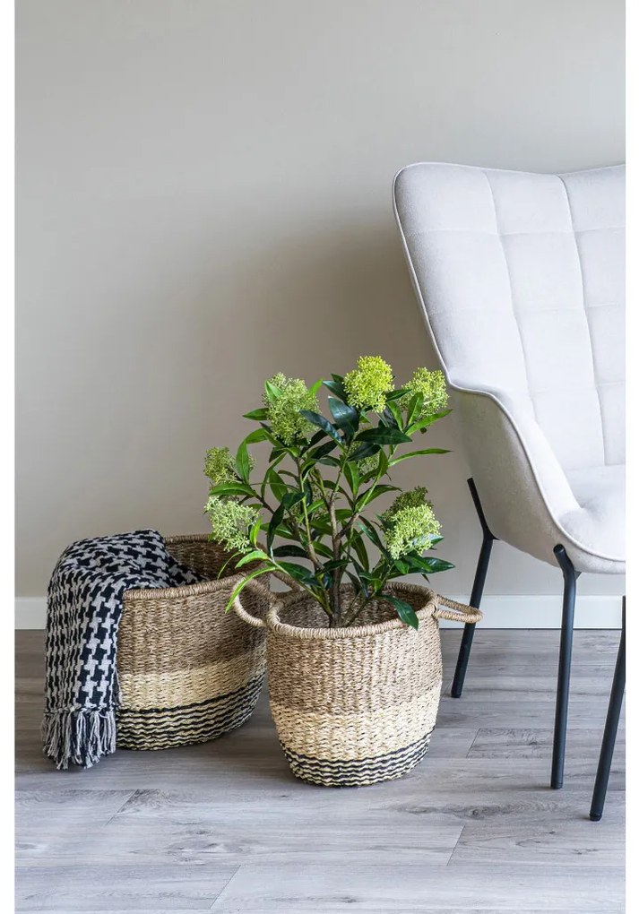 Skimmia fa műnövény 75 cm