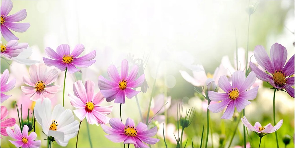 Fotó kép edzett üveg Virágok a réten 140x70