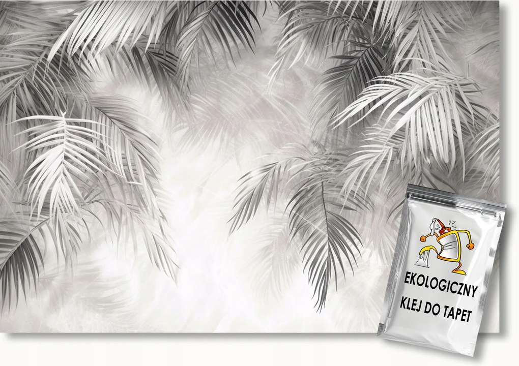 Fotótapéta Flizelina Dekoráció Természet Szürke Pálmalevelek 400x280 ragasztó