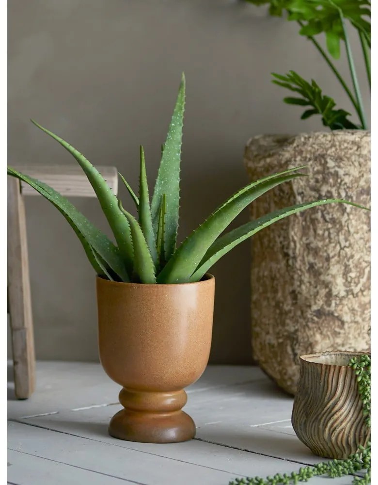 Műnövény (magasság 61 cm) Aloe – Bloomingville