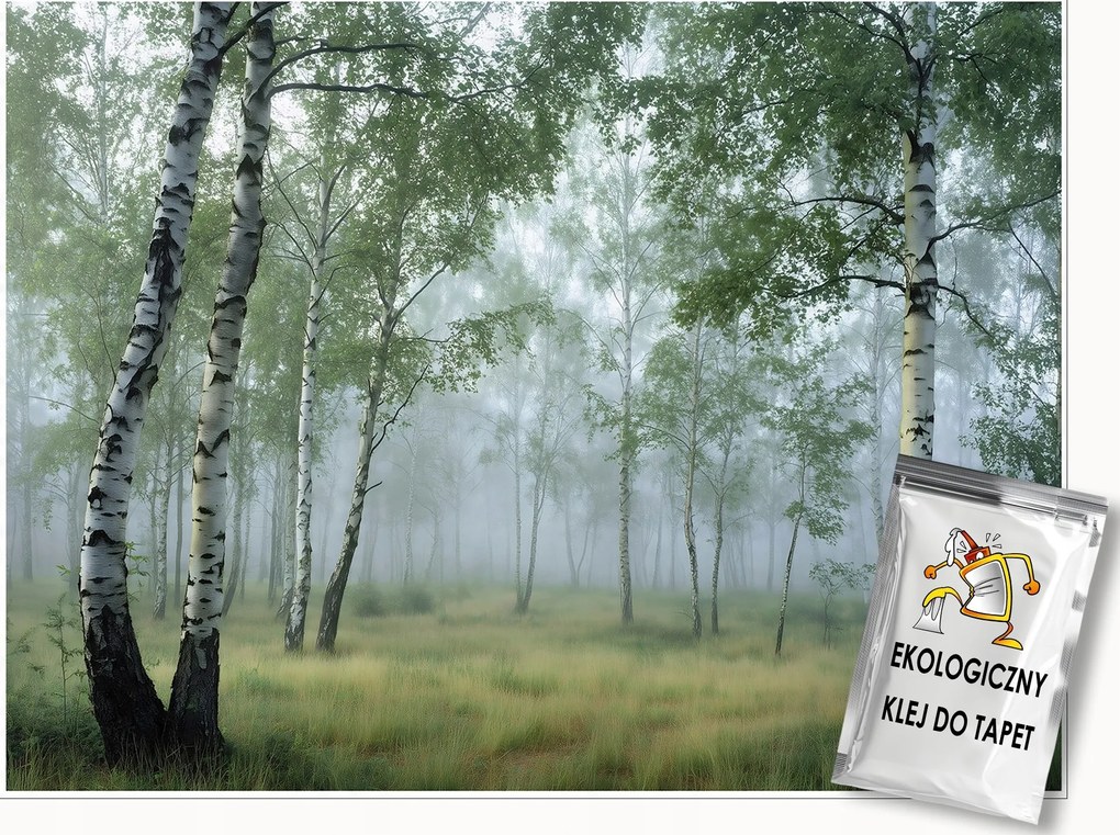 Fotótapéta Nyírfa Erdő 3D Fák Zöld Falra Hálószoba Nappali 150x105