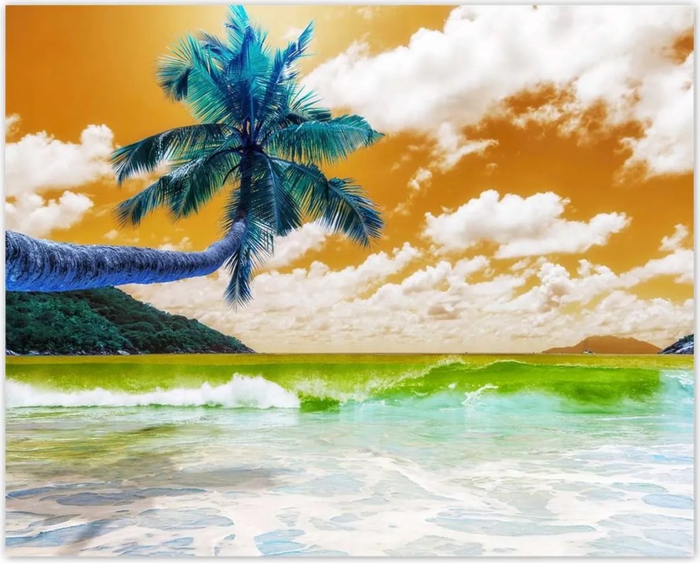 Poszterek 50x40 Trópusok Tájkép Pálma