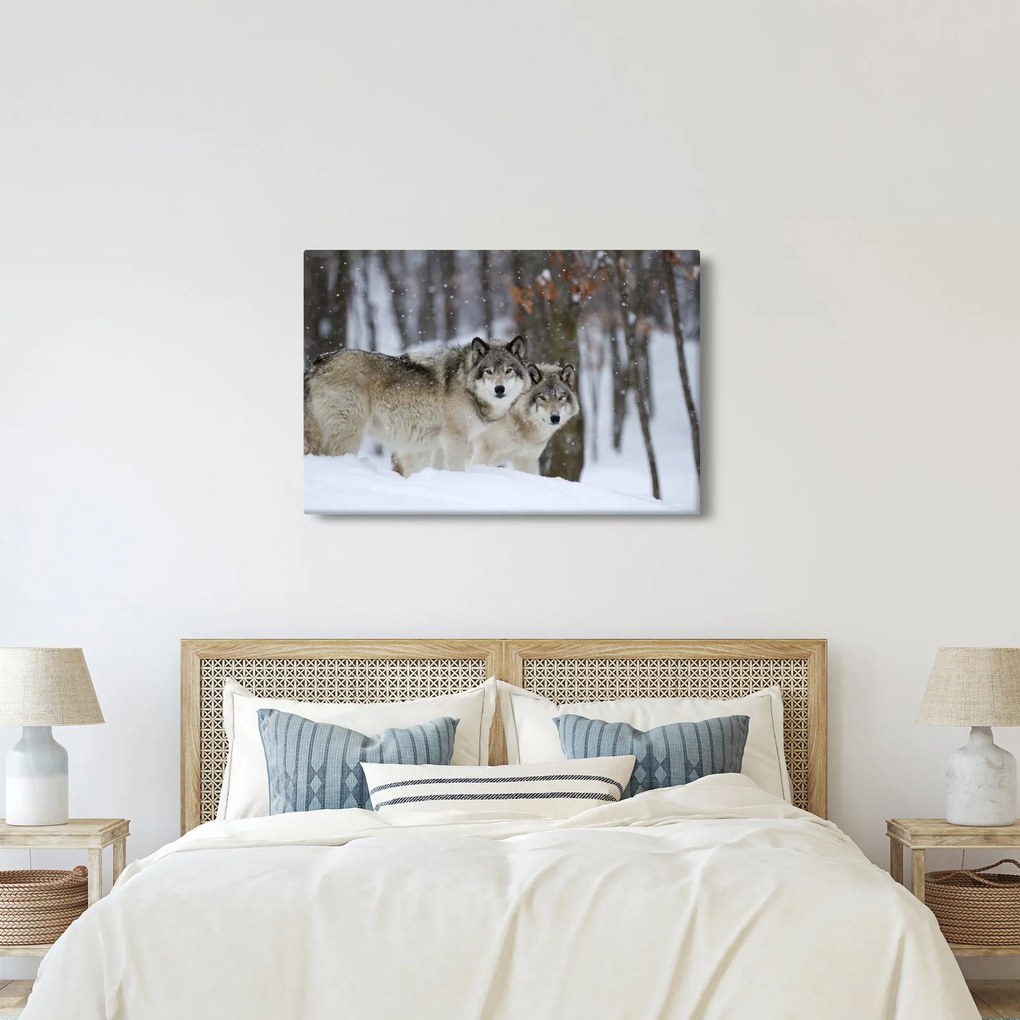 Kép - Farkasok télen (90x60 cm)