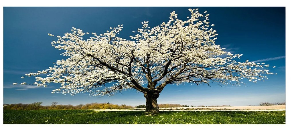 Fali dekoráció vászonkép 451ern1232