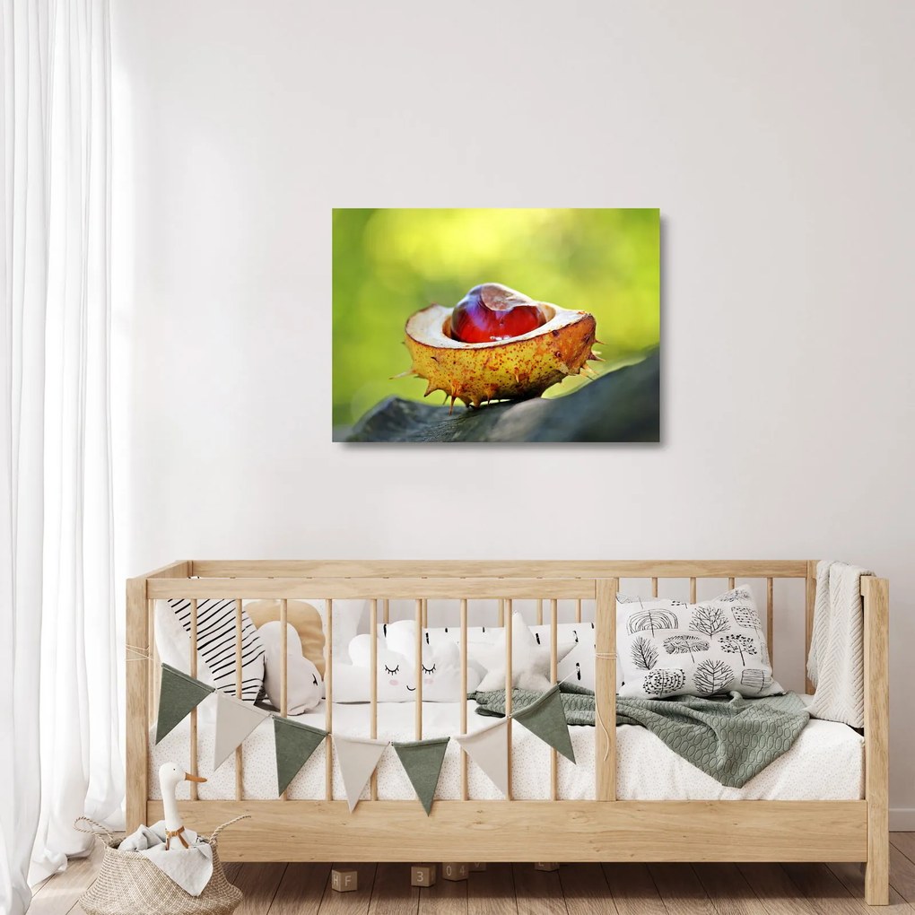 Gesztenye képe (üvegen) (70x50 cm)