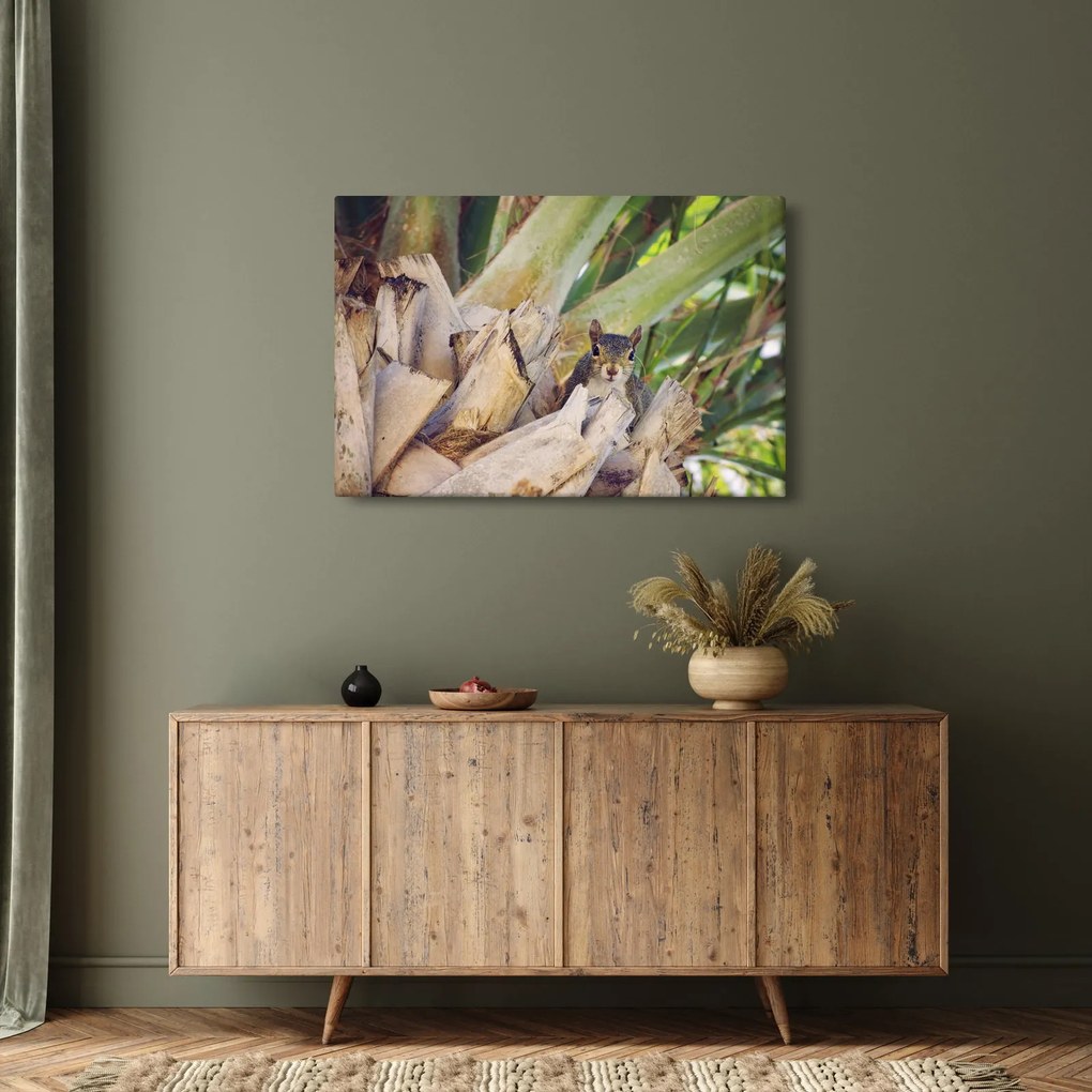 Mókus képe a fán (90x60 cm)