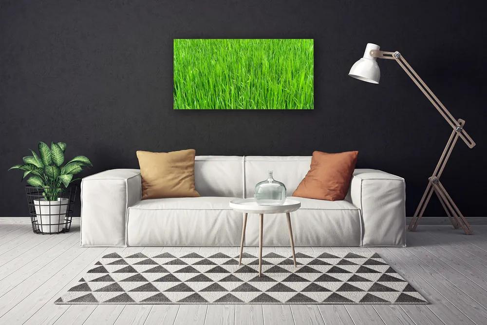 Canvas kép Nature Green Grass Turf 100x50 cm