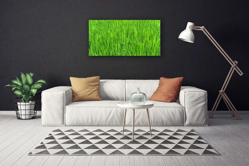 Canvas kép Nature Green Grass Turf 125x50 cm