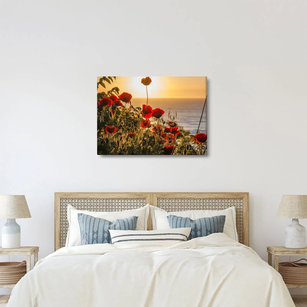 Naplemente és a pipacsok képe (70x50 cm)