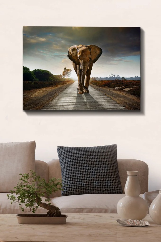 Kanvas vászonkép, 70×100 cm – TR529TCR1570