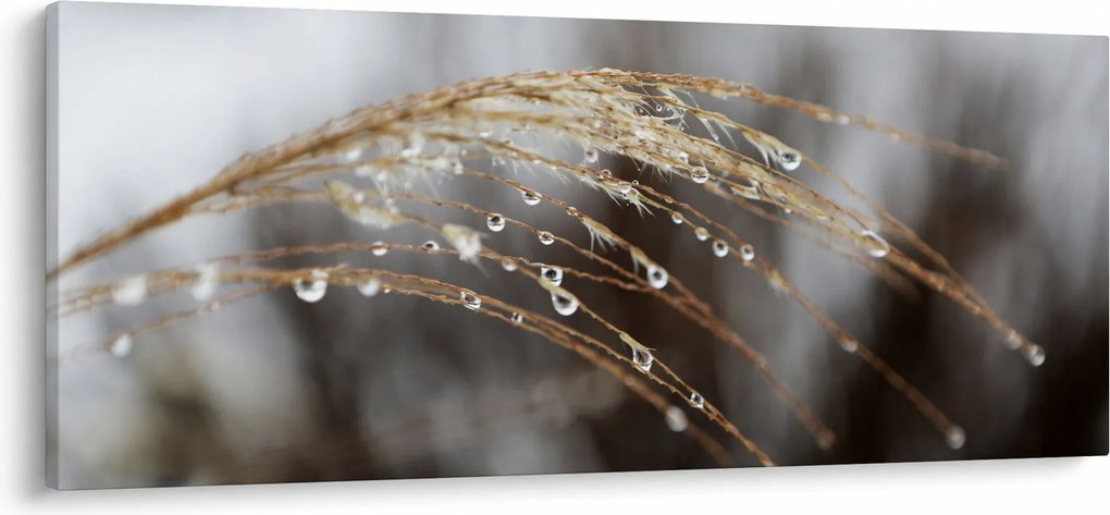 Cseppkép egy növényen (120x50 cm)