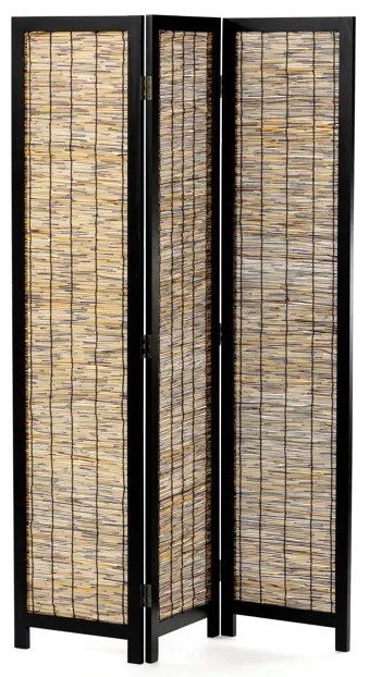 Barna Paraván. EF-L174 BK