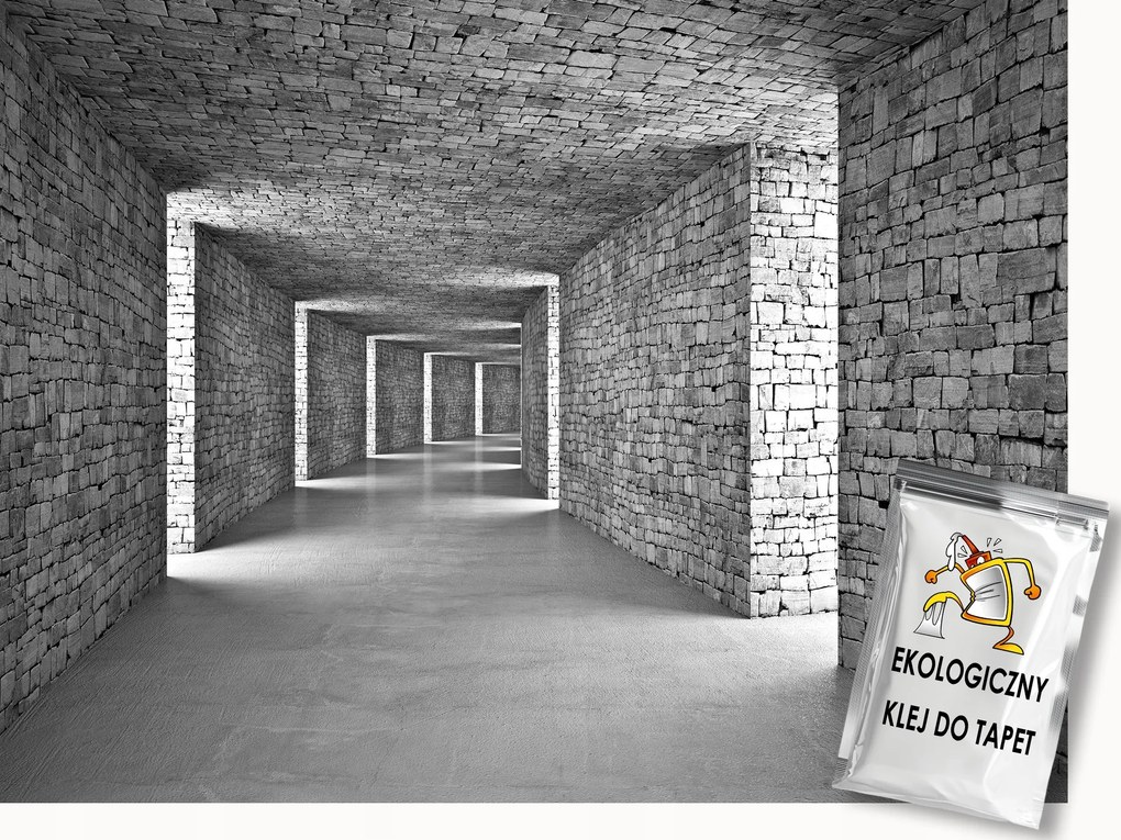 Fotótapéta Flizelina Alagút Folyosó Fal Kő Tégla 3D 250x175 ragasztó