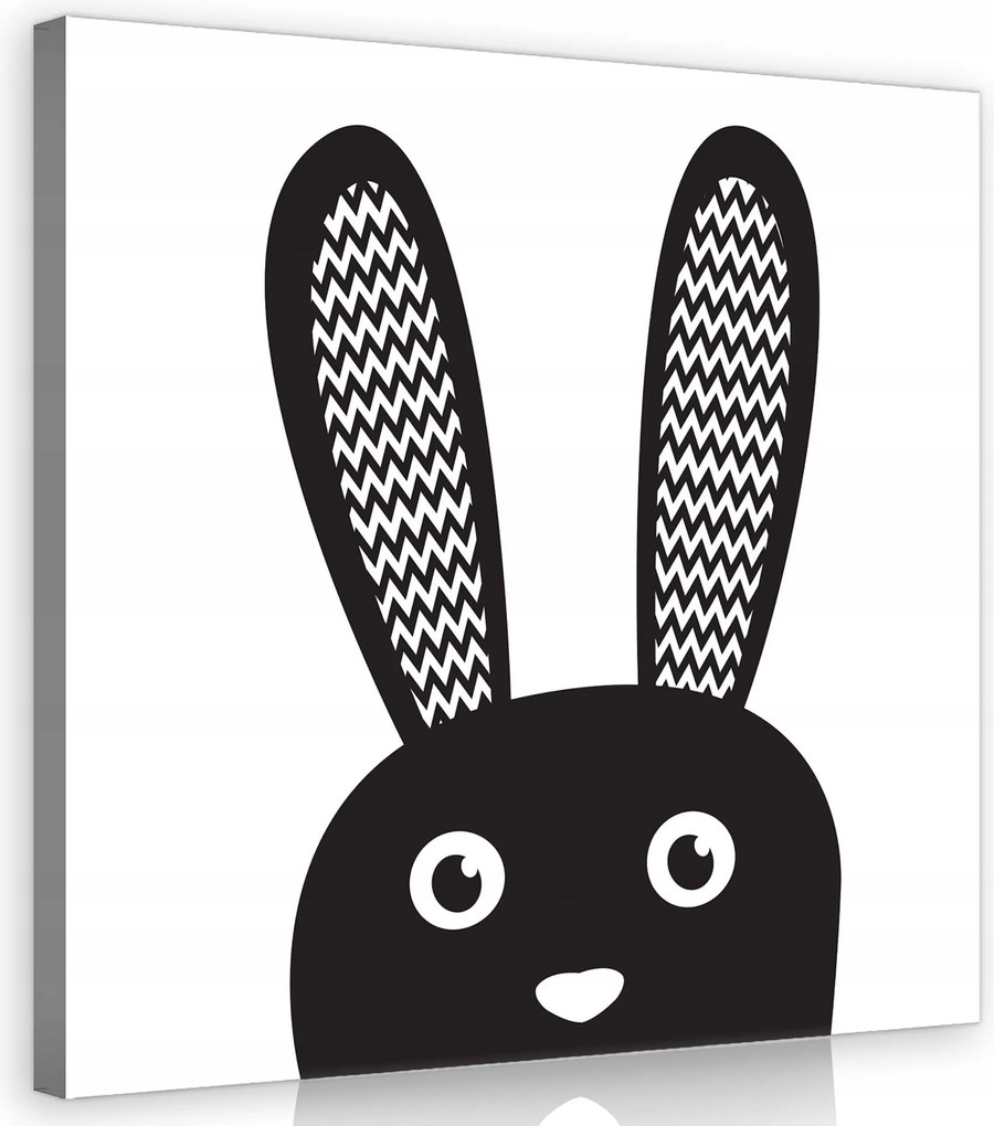 Vászonkép 40x40 Nyúl nyúl fekete-fehér minimalizmus aranyos fülek szem orr