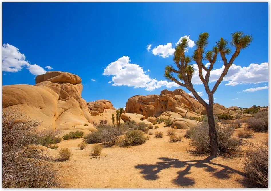 Poszterek 100x70 Sivatagi táj