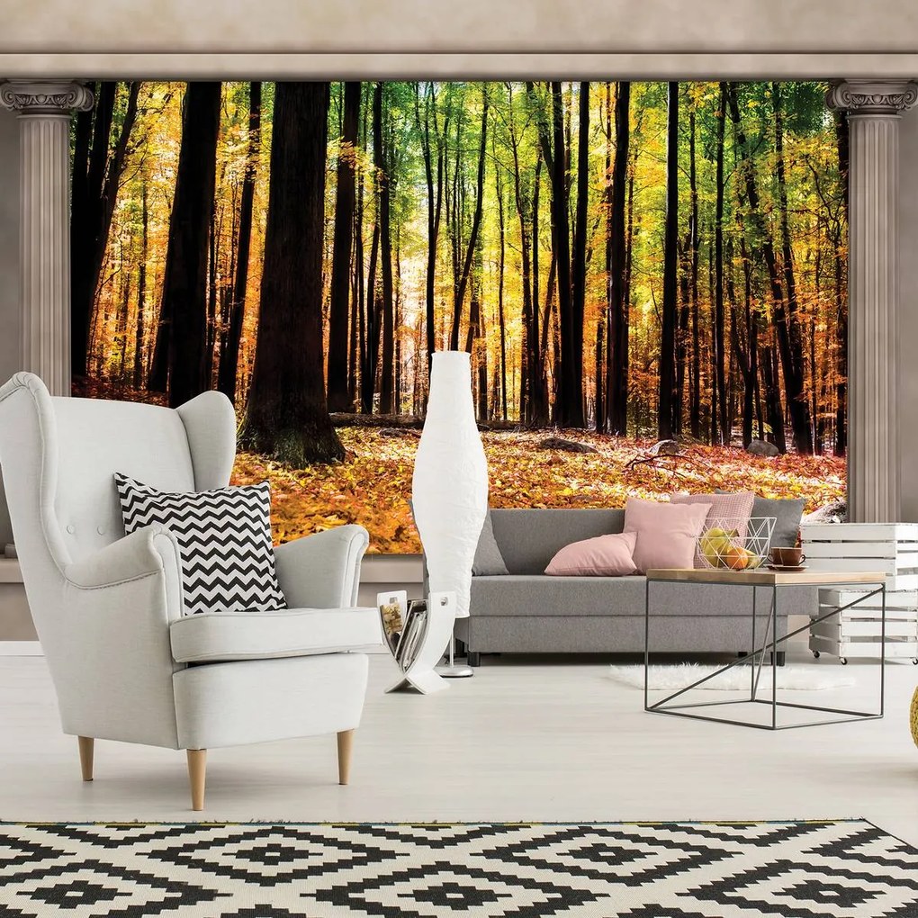 Fotótapéta - Őszi erdő (152,5x104 cm)