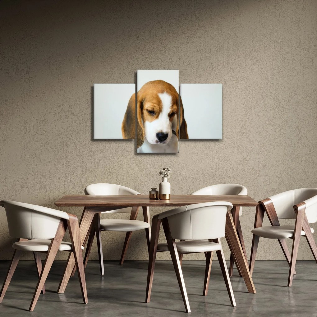 Beagle képe (90x60 cm)