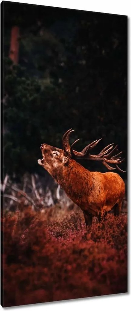 Vászonkép 55x115 Szarvas az erdőben