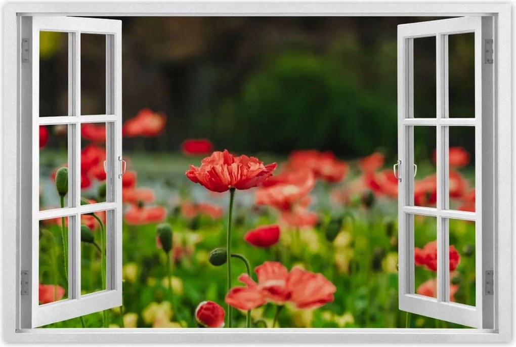 Poszterek 90x60 Pipacs Virágok