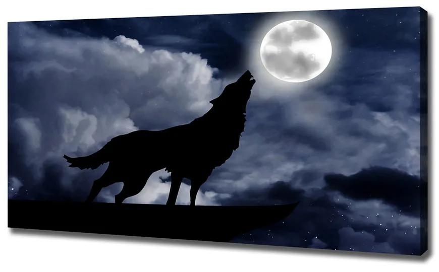Vászonkép Üvöltő farkas teljes pl-oc-120x60-f-61523126