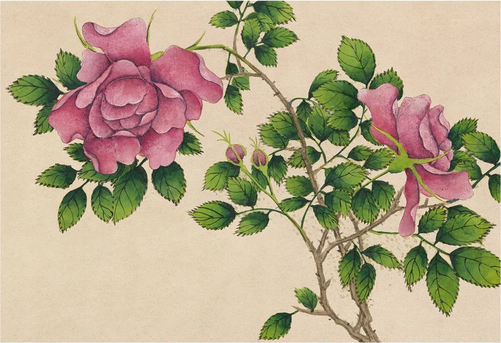 Divatos 3D Fali Tapéta Romantikus rózsák 152x104 Ragasztóval