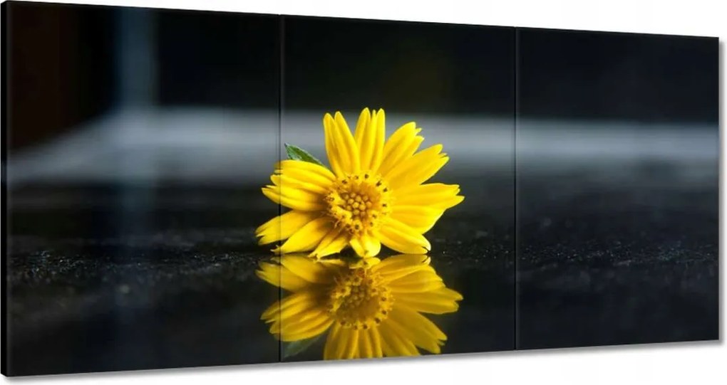 Vászonkép 120x60 Sárga virág