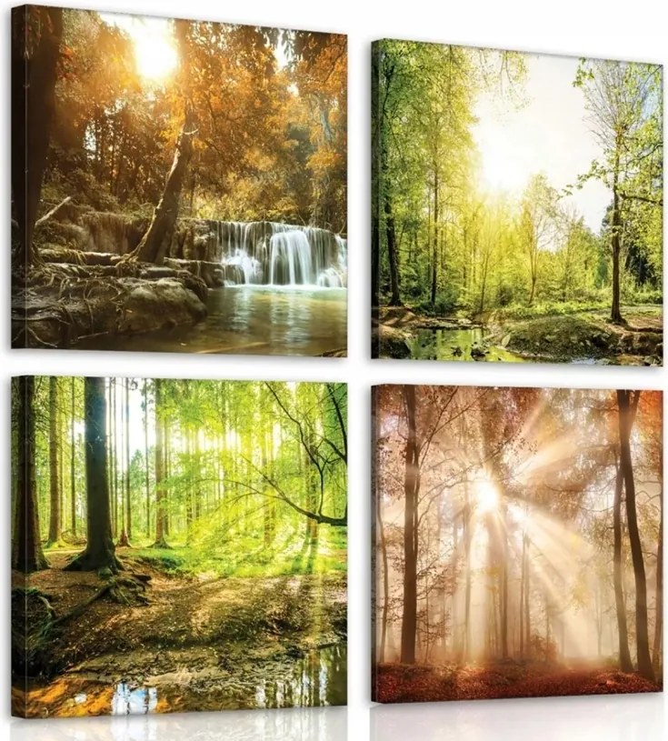 Vászonkép 50x50 Erdő természet vízesés nap köd ősz zöld fák nyugalom
