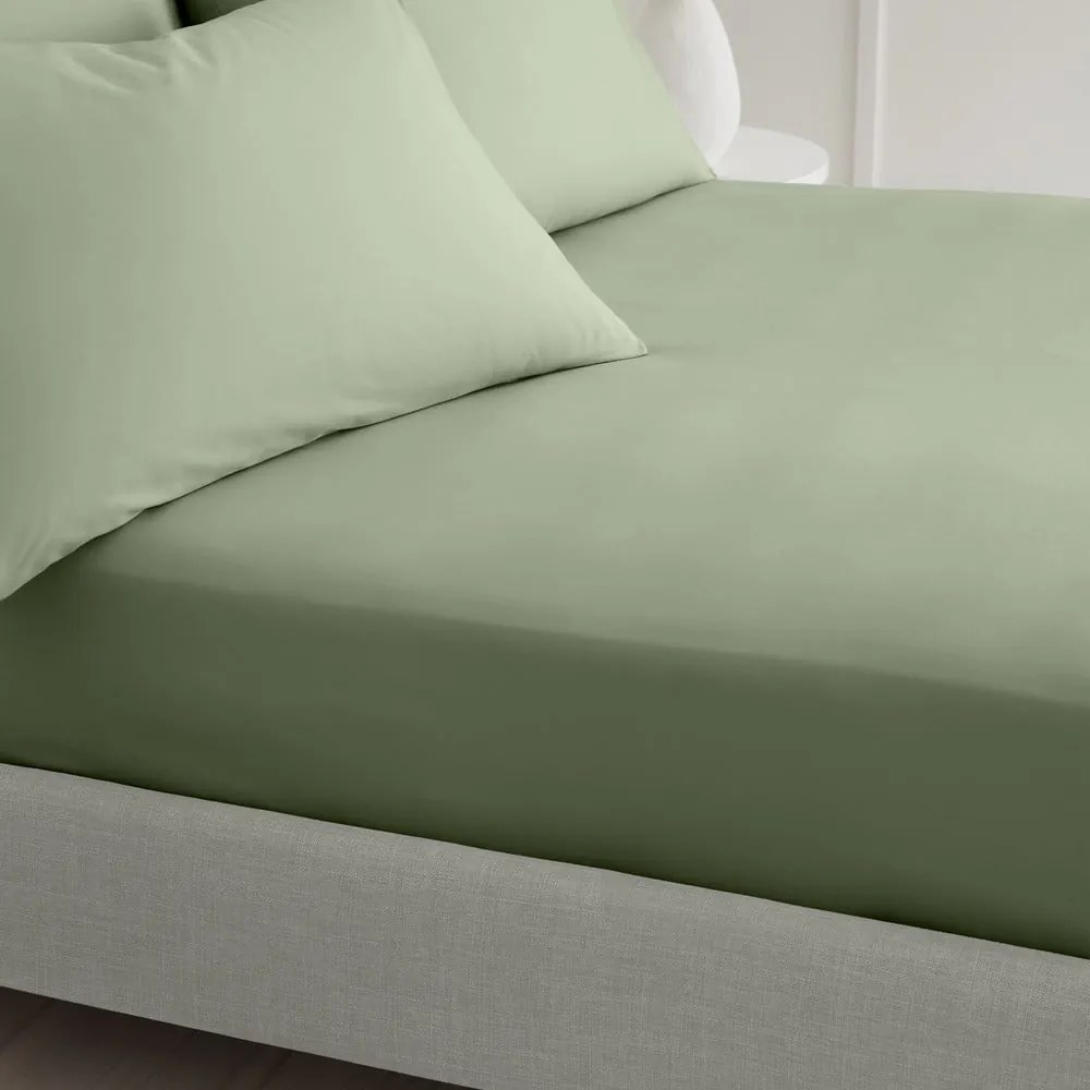 Zöld gumis pamut-perkál lepedő 90x190 cm Cotton Percale – Bianca