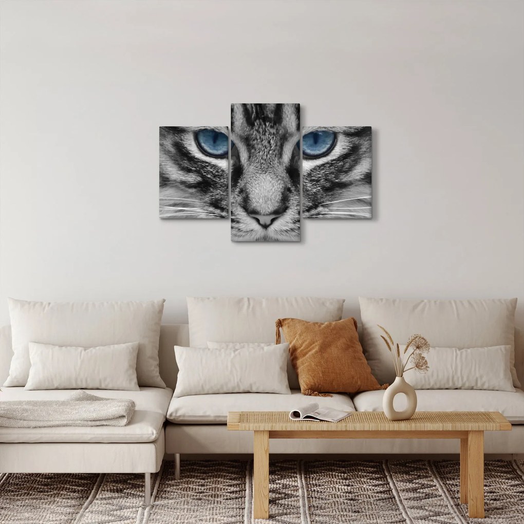Macska képe (90x60 cm)