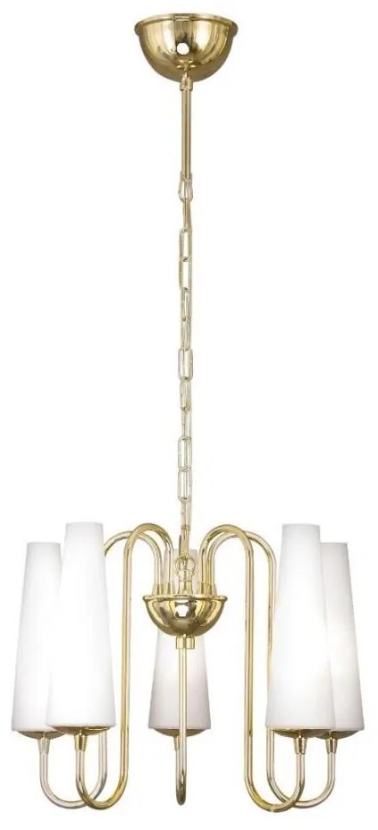 Zuma Line 1127 - Csillár láncon MAGNUM 5xE14/40W/230V arany