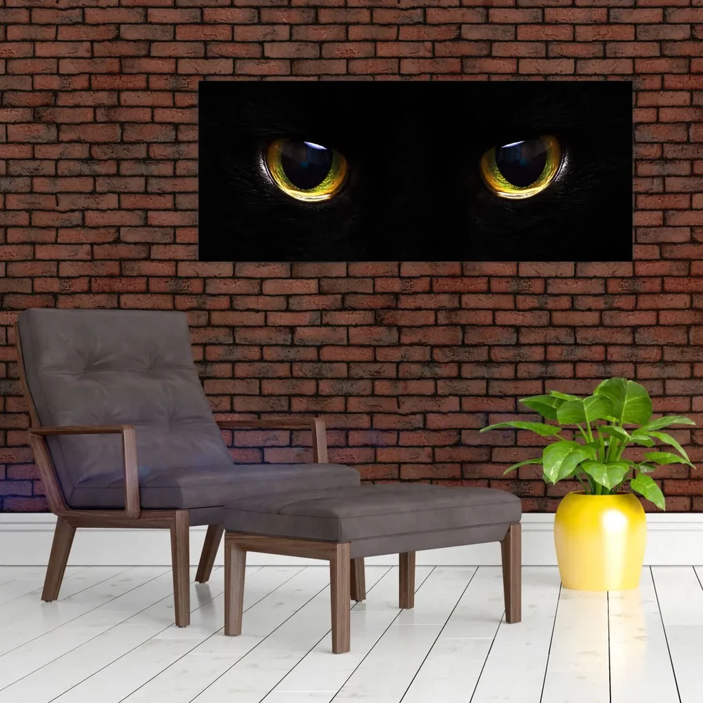 Kép - Macskaszemek (120x50 cm)