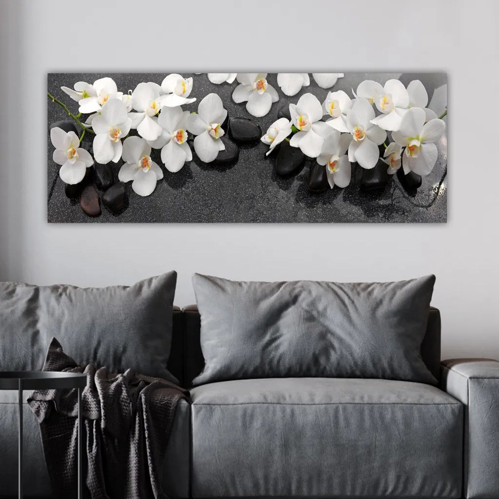 Vászonkép, 30×80 cm – TR483TNS1167