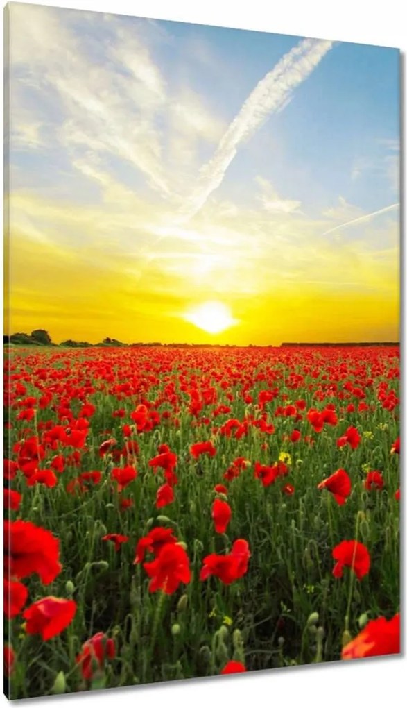 Vászonkép 80x120 Pipacsmező nyugattal