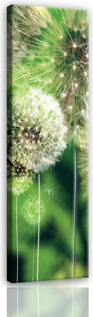 Vászonkép pitypang falikép zöld fehér 45 x 145