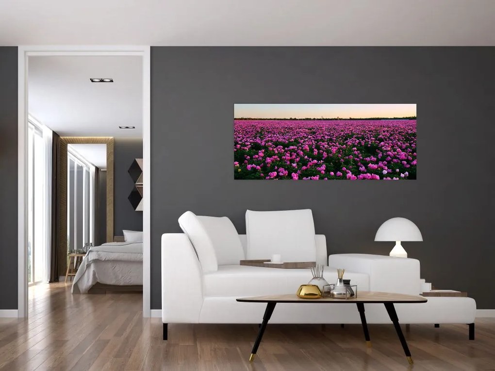 Kép - lila tulipánok rétje (120x50 cm)