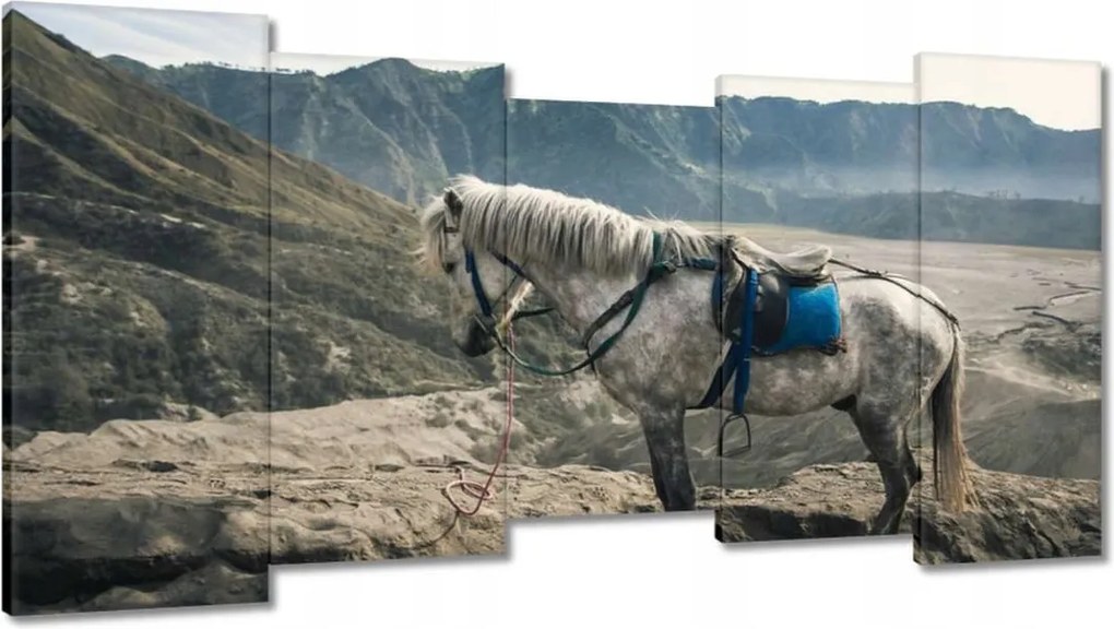 Festmények 150x80 Ló expedíció a hegyekbe