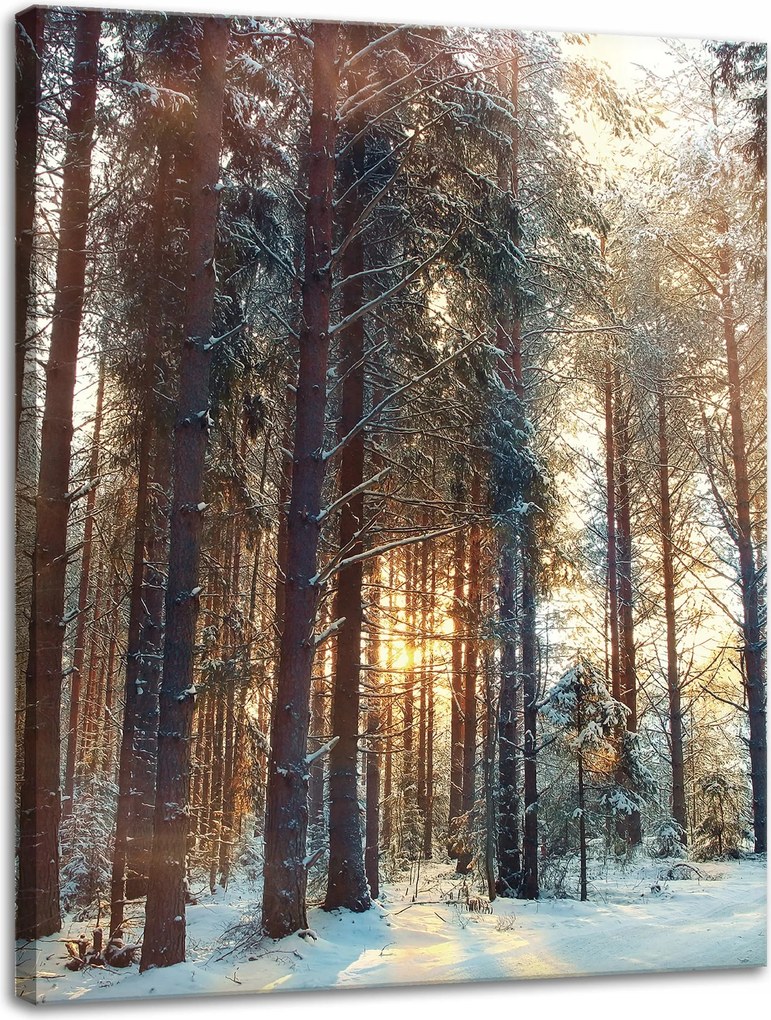 Vászonkép Erdő Tél Hó Fehér Természet 30x40 cm