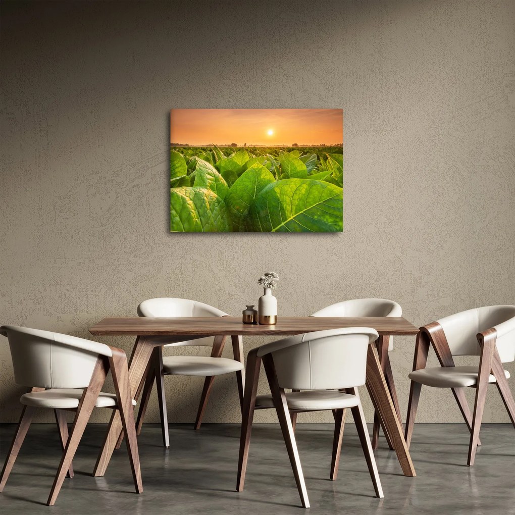 Kép - Mező (70x50 cm)