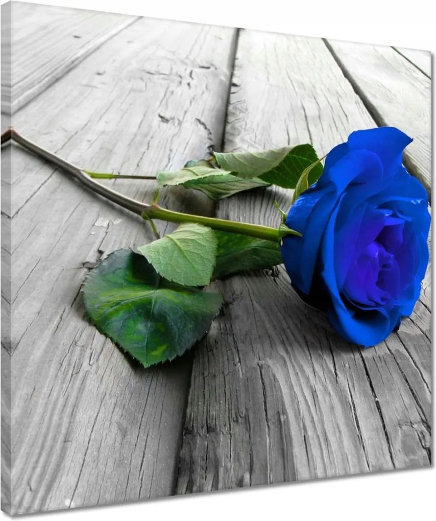Vászonkép 40x40 Kék rózsa a deszkákon