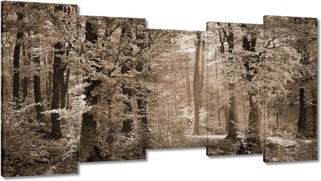 Vászonkép 150x80 Erdő szépia színben