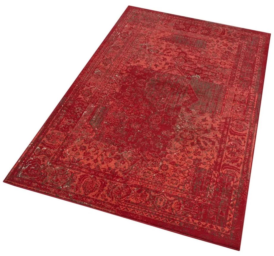 Celebration Plume piros szőnyeg, 160 x 230 cm - Hanse Home