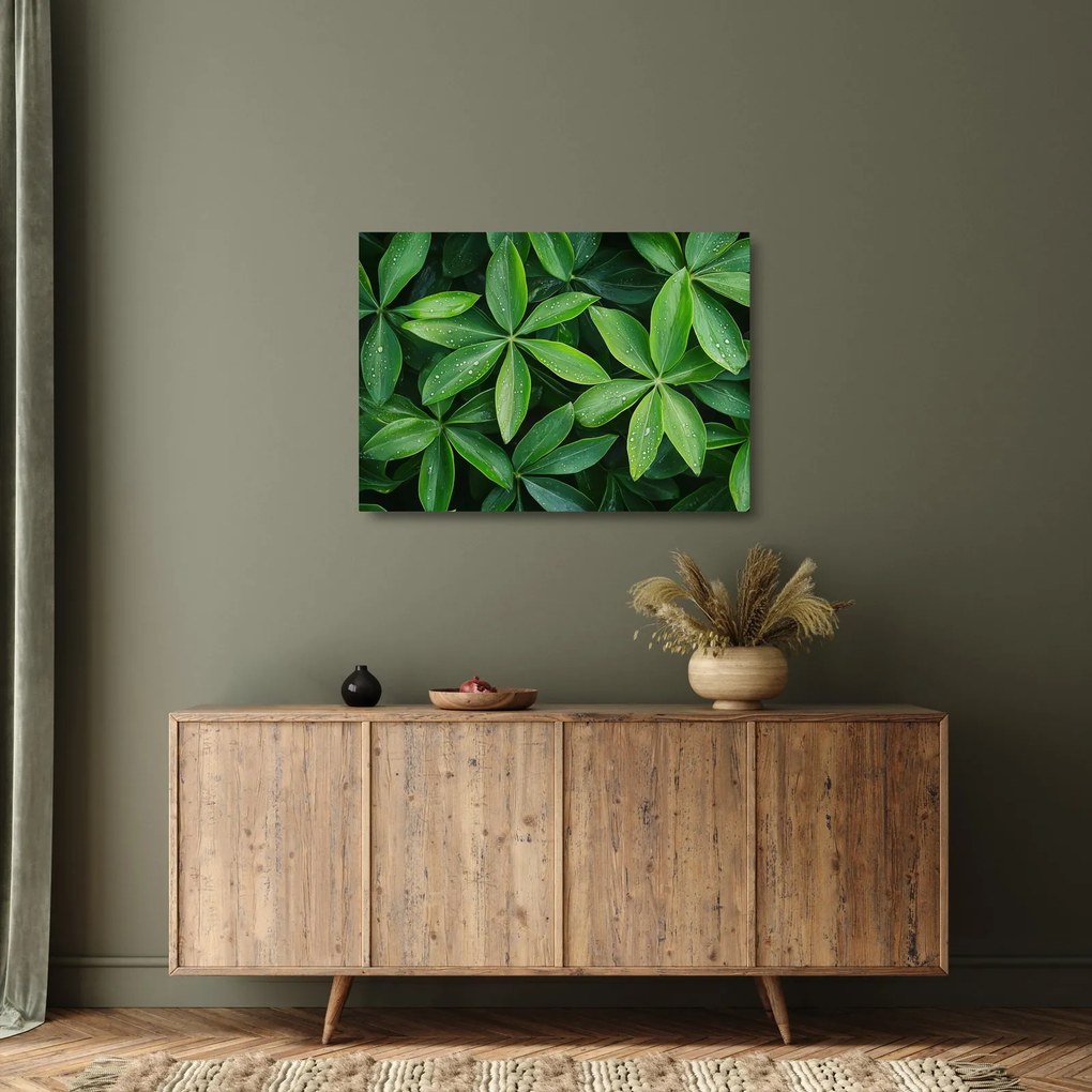 Üveg kép - Levelek harmatcseppekkel (70x50 cm)