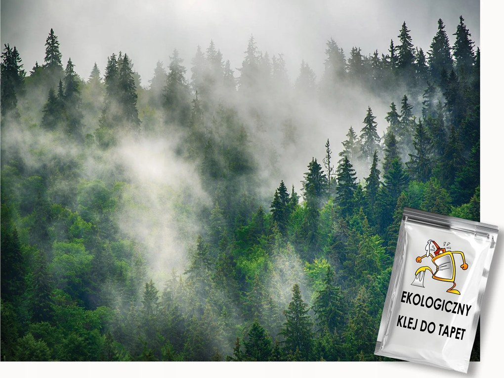 Fotótapéta Flizelina Tájkép Hegyek Erdő Fák Köd 250x175 ragasztó