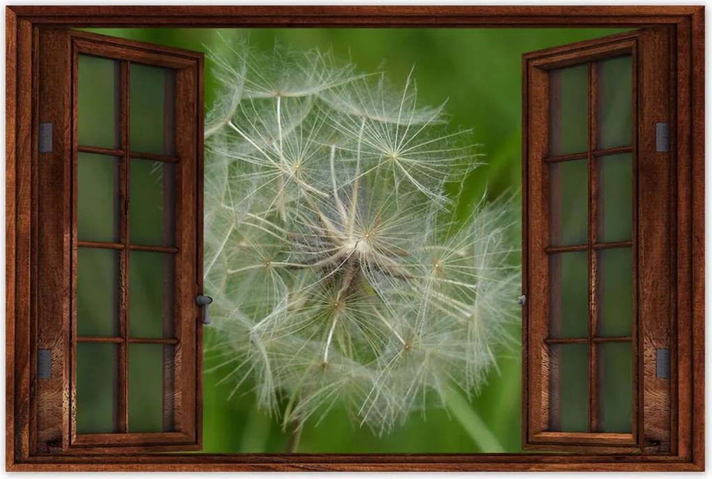 Poszterek 90x60 Pitypang Virág Virágok