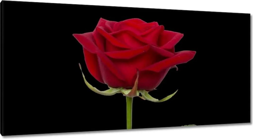 Vászonkép 115x55 Nőnap Ajándék Love