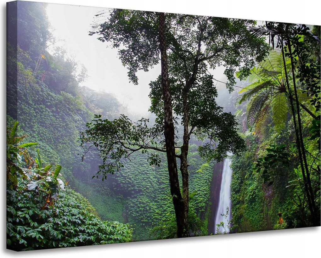 Vászonkép Természet Trópusi erdő 90x60 cm