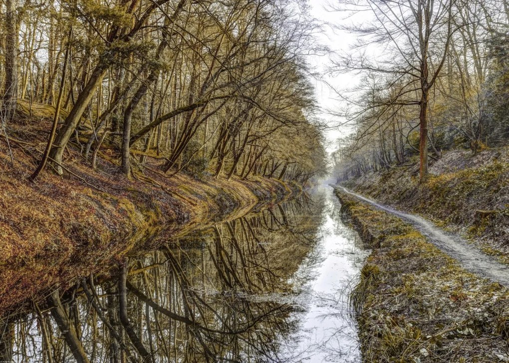 Poszter 70x50cm Csatorna az erdőben, Assaf Frank