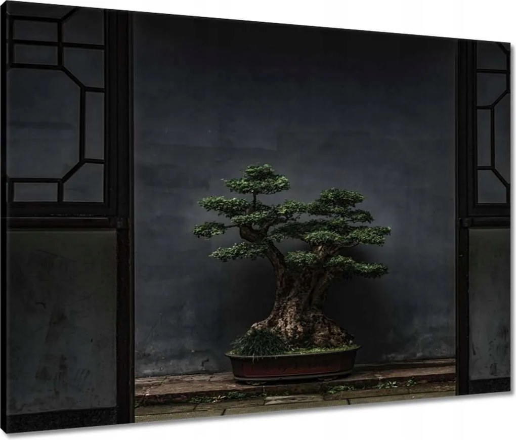 Vászonkép 80x60 Bonsai Fa Kultúra