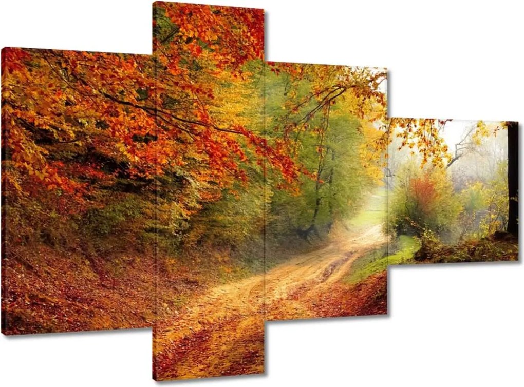 Képek 100x70 Út az őszi erdőben